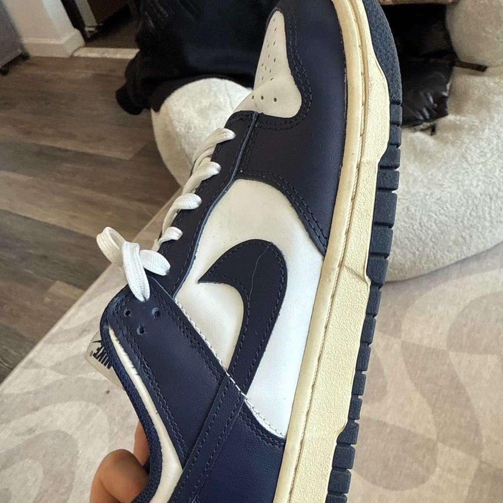 Nike vintage navy dunks